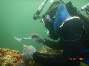 Manual Diving Inspection